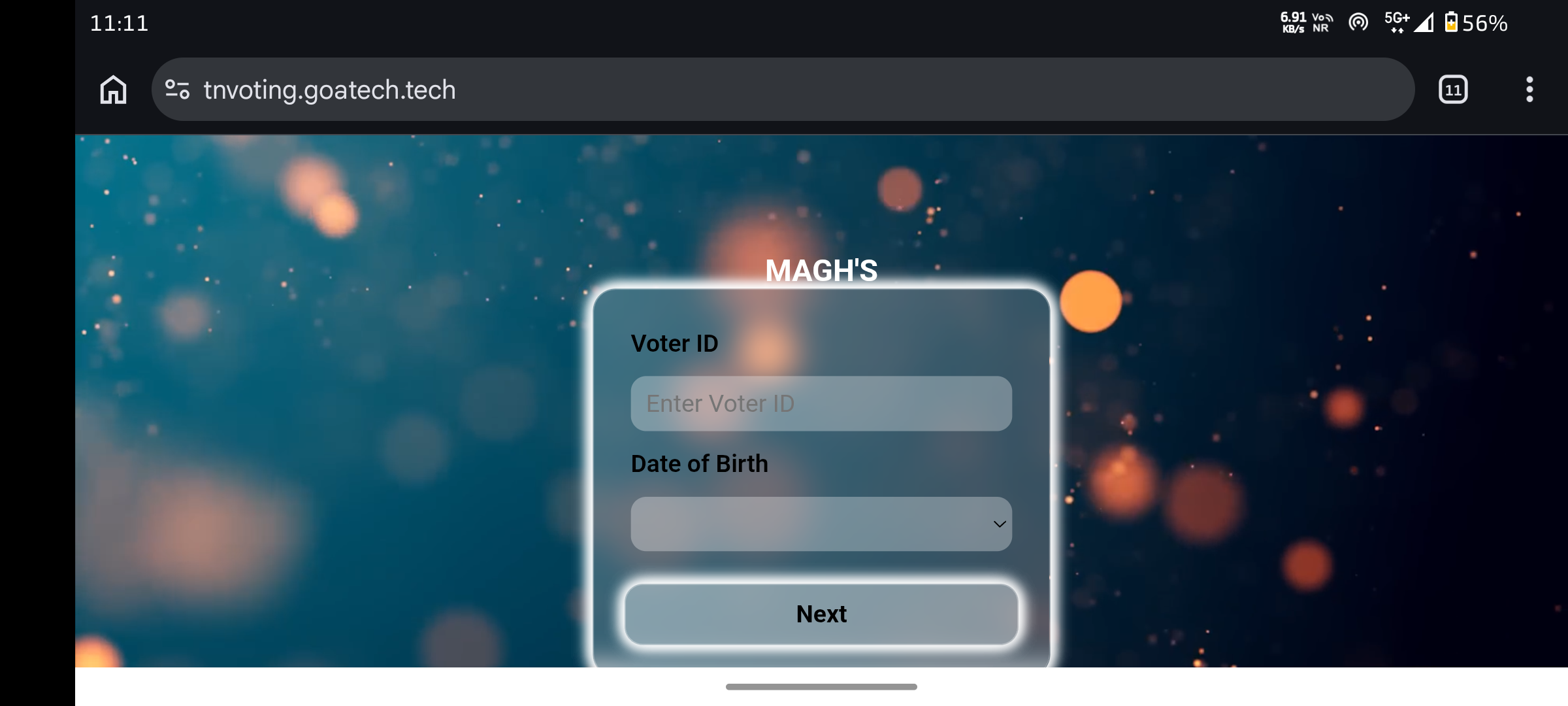 TN Voting Screenshot